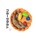 こばねこ01（個別スタンプ：24）