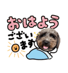 どーら2（個別スタンプ：5）