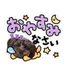 どーら2（個別スタンプ：8）
