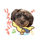 どーら2（個別スタンプ：9）