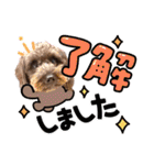 どーら2（個別スタンプ：10）