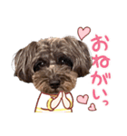 どーら2（個別スタンプ：13）