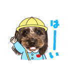 どーら2（個別スタンプ：15）