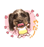 どーら2（個別スタンプ：18）