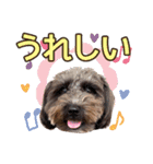 どーら2（個別スタンプ：19）