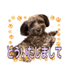 どーら2（個別スタンプ：20）