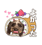 どーら2（個別スタンプ：25）