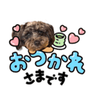 どーら2（個別スタンプ：30）