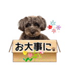 どーら2（個別スタンプ：31）