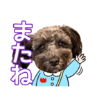 どーら2（個別スタンプ：40）