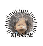 我が家のそーちゃん3（個別スタンプ：12）
