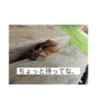 れんたろーラインスタンプ（個別スタンプ：3）