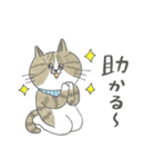 毎日使えるかごねこスタンプ（個別スタンプ：5）