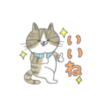 毎日使えるかごねこスタンプ（個別スタンプ：7）