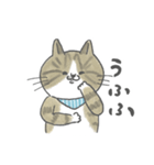 毎日使えるかごねこスタンプ（個別スタンプ：21）