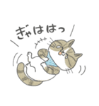 毎日使えるかごねこスタンプ（個別スタンプ：22）