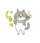 毎日使えるかごねこスタンプ（個別スタンプ：38）