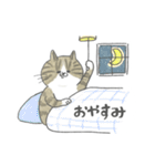 毎日使えるかごねこスタンプ（個別スタンプ：40）