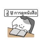 かわいい子猫,キキ 2 (韓国語/タイ語)（個別スタンプ：5）