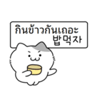 かわいい子猫,キキ 2 (韓国語/タイ語)（個別スタンプ：15）