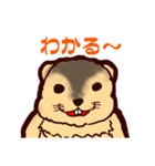 ほのぼのマーモットのスタンプ（個別スタンプ：3）