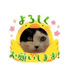 茶とみ日常使い3（個別スタンプ：2）