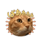 茶とみ日常使い3（個別スタンプ：5）