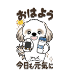 【Big】シーズー犬『big shih tzu』（個別スタンプ：1）