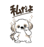 【Big】シーズー犬『big shih tzu』（個別スタンプ：3）