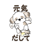 【Big】シーズー犬『big shih tzu』（個別スタンプ：7）