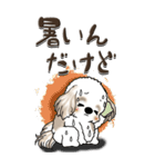 【Big】シーズー犬『big shih tzu』（個別スタンプ：10）