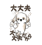 【Big】シーズー犬『big shih tzu』（個別スタンプ：11）