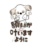 【Big】シーズー犬『big shih tzu』（個別スタンプ：12）