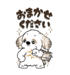 【Big】シーズー犬『big shih tzu』（個別スタンプ：13）