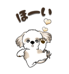 【Big】シーズー犬『big shih tzu』（個別スタンプ：14）