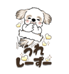 【Big】シーズー犬『big shih tzu』（個別スタンプ：17）