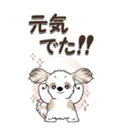 【Big】シーズー犬『big shih tzu』（個別スタンプ：18）