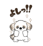 【Big】シーズー犬『big shih tzu』（個別スタンプ：19）