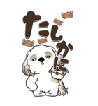 【Big】シーズー犬『big shih tzu』（個別スタンプ：25）