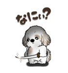 【Big】シーズー犬『big shih tzu』（個別スタンプ：26）