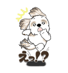 【Big】シーズー犬『big shih tzu』（個別スタンプ：27）