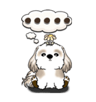 【Big】シーズー犬『big shih tzu』（個別スタンプ：30）