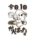 【Big】シーズー犬『big shih tzu』（個別スタンプ：37）