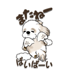 【Big】シーズー犬『big shih tzu』（個別スタンプ：39）