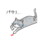 病弱ねこの日常 夏編（個別スタンプ：1）