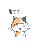 病弱ねこの日常 夏編（個別スタンプ：2）