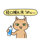 病弱ねこの日常 夏編（個別スタンプ：4）