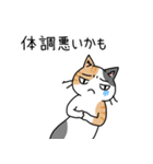 病弱ねこの日常 夏編（個別スタンプ：11）