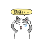 病弱ねこの日常 夏編（個別スタンプ：12）