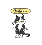 病弱ねこの日常 夏編（個別スタンプ：14）
